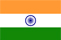 India Flag - redlemondigital